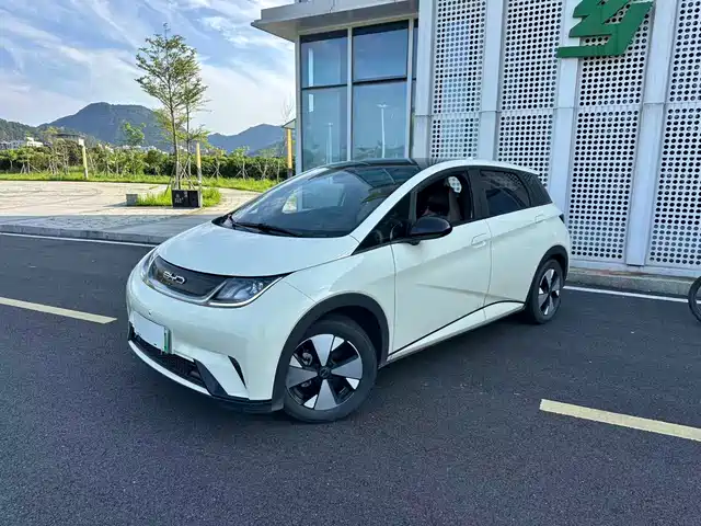 2024 BYD Dolphin