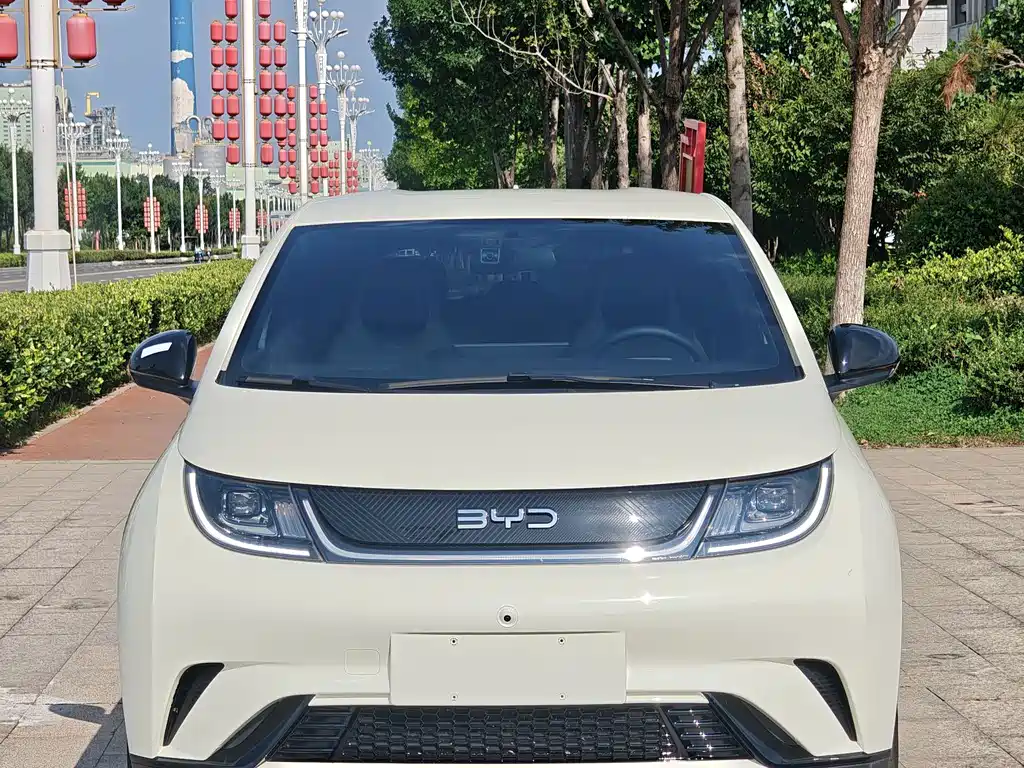BYD Dolphin — миниатюра 2