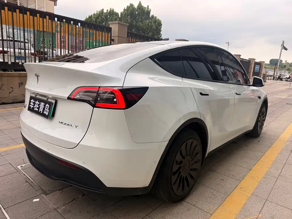 Tesla Model Y — миниатюра 12