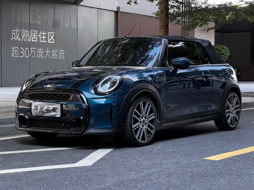 Mini Mini 2021