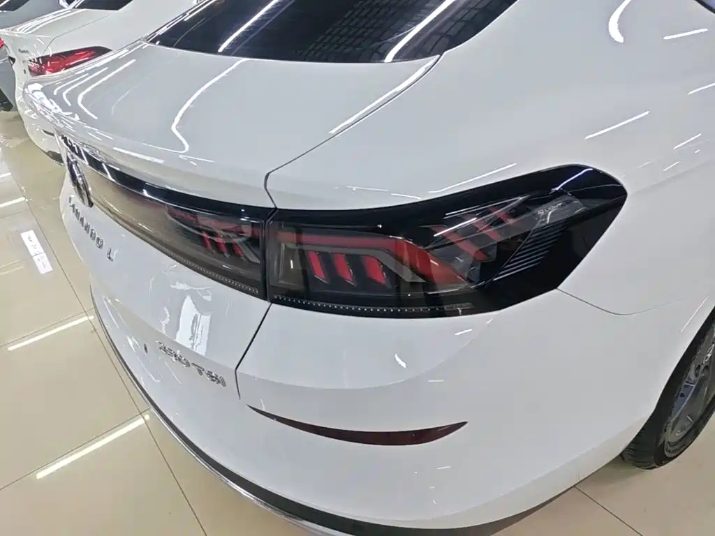 Volkswagen Lamando — миниатюра 8