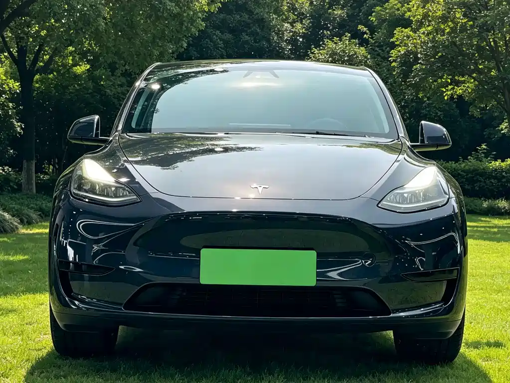 Tesla Model Y — миниатюра 2