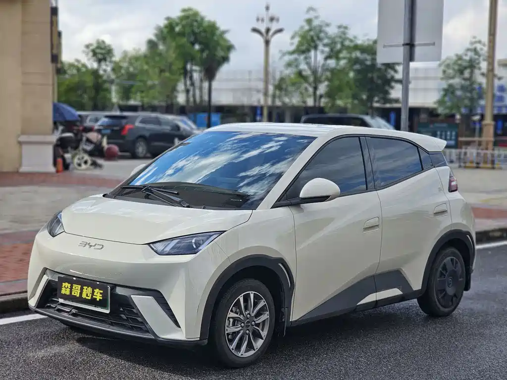 Byd Seagull 2024