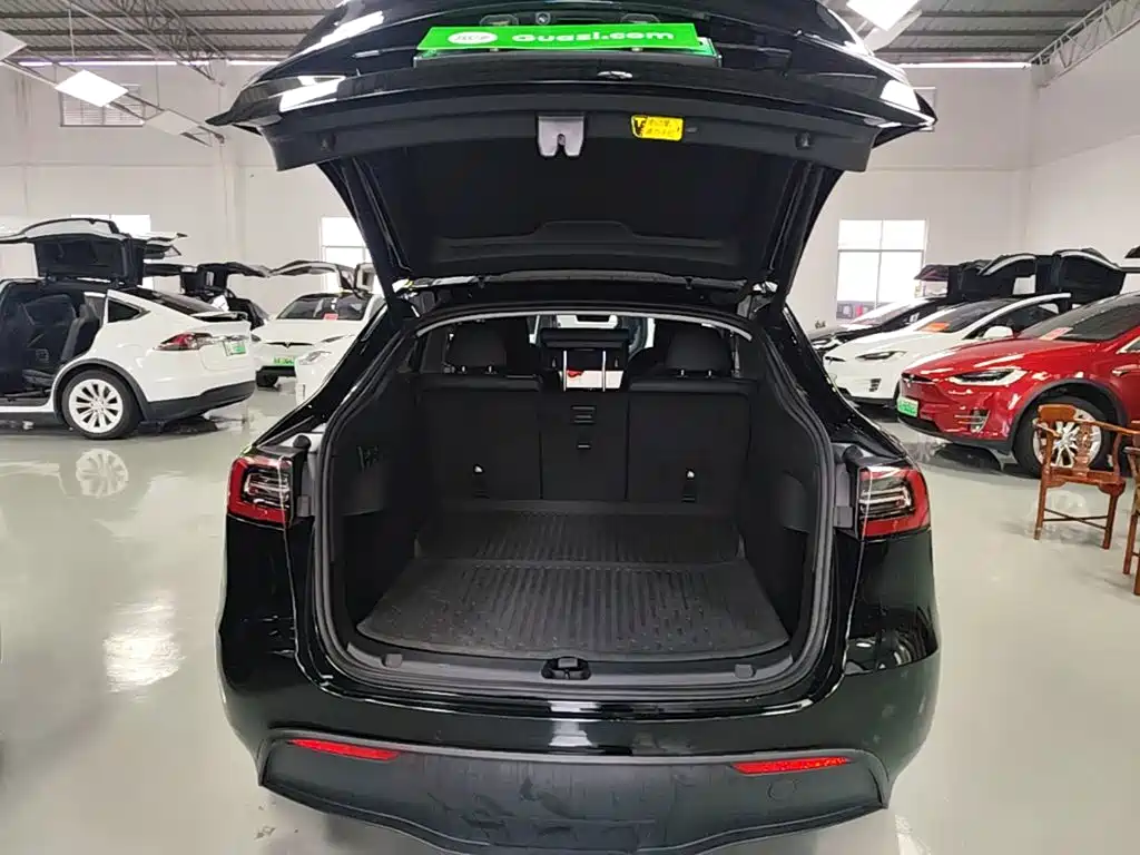 Tesla Model Y — миниатюра 19