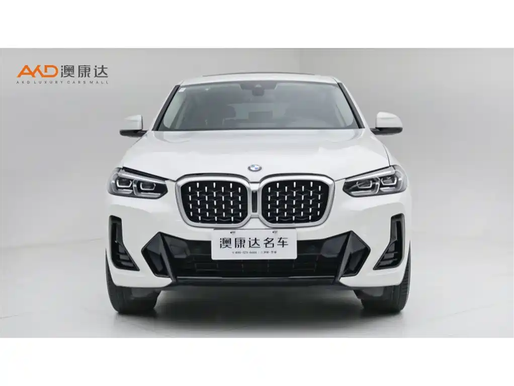 BMW X4 — миниатюра 2