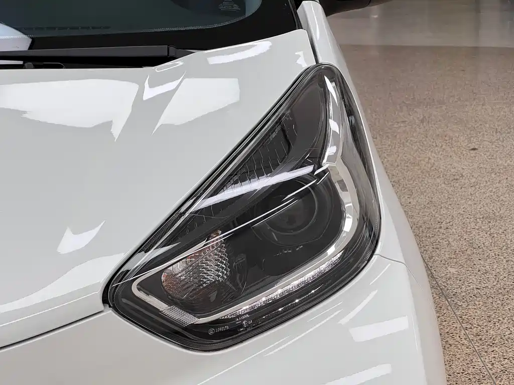Chery Little Ant 2022 30kW 301km