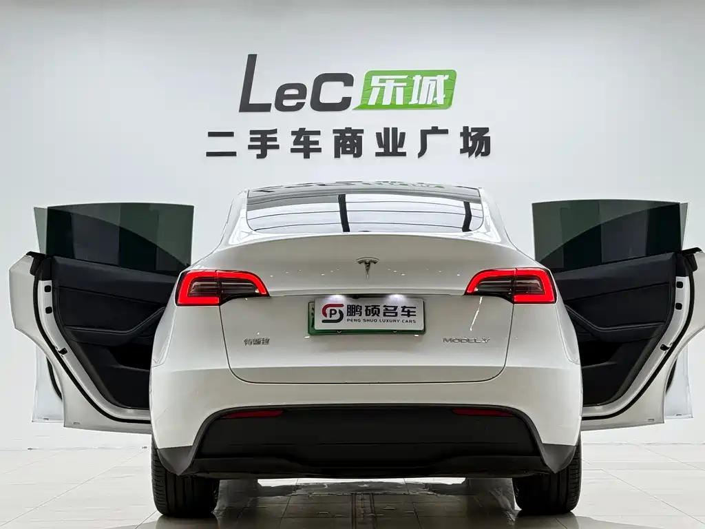 Tesla Model Y — миниатюра 15