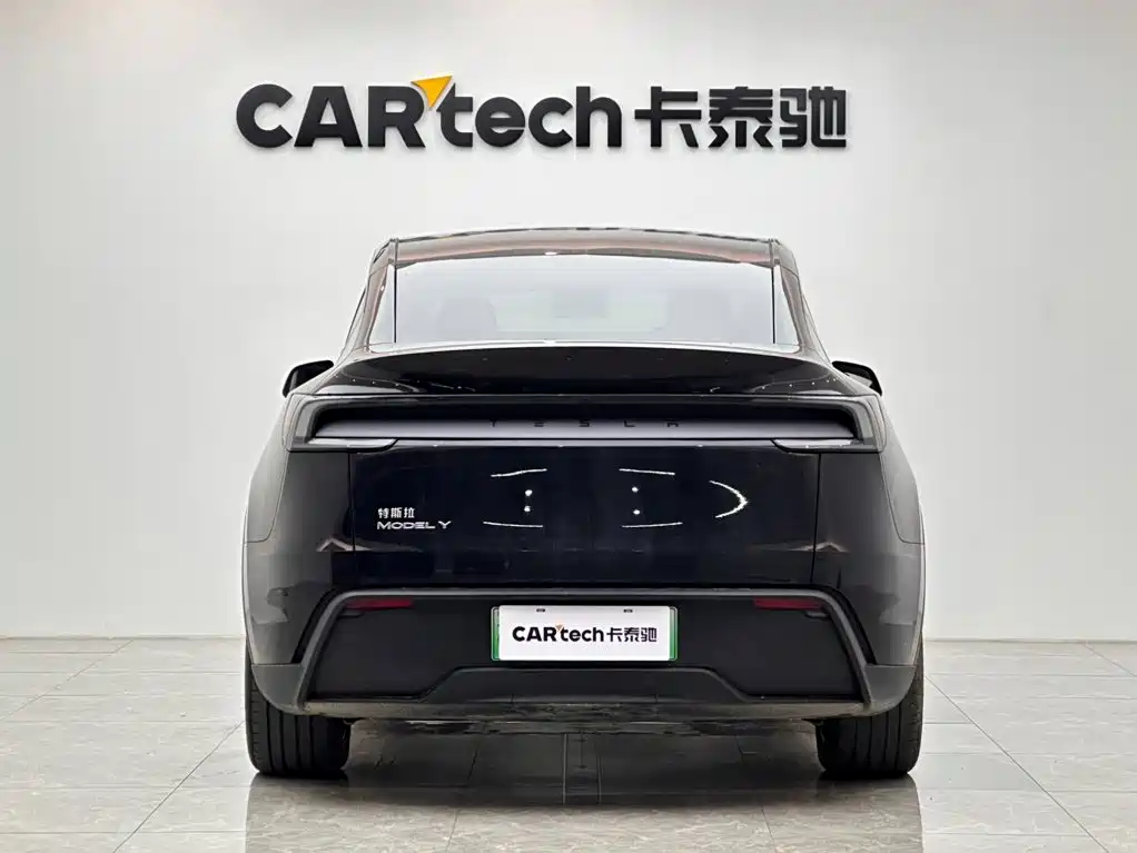 Tesla Model Y — миниатюра 4