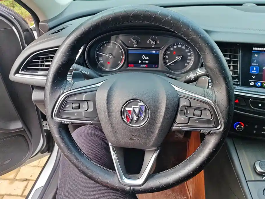 Buick Regal — миниатюра 15