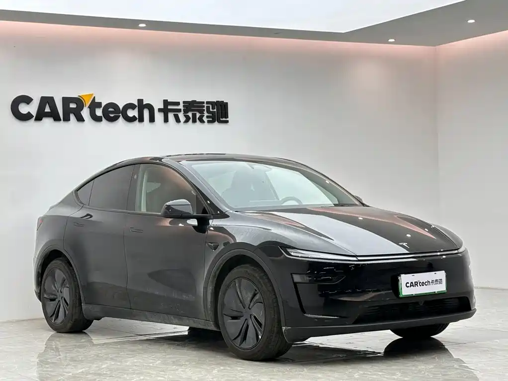 Tesla Model Y — миниатюра 6