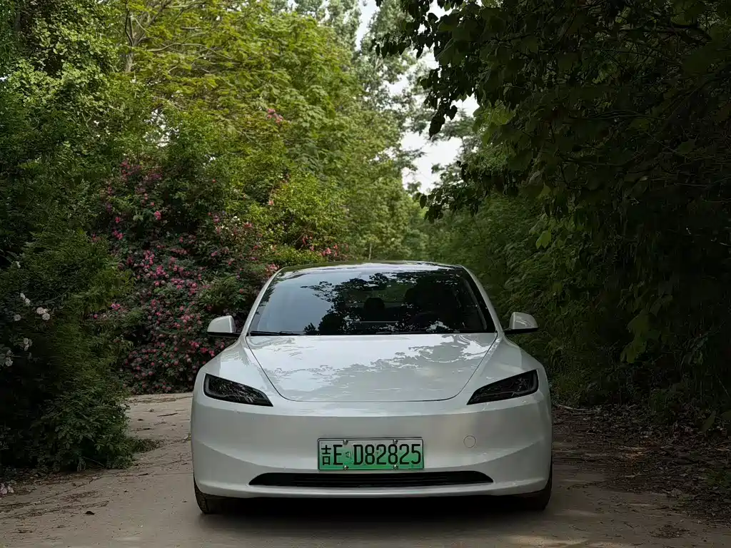 Tesla Model 3 2025