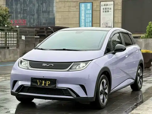 2024 BYD Dolphin