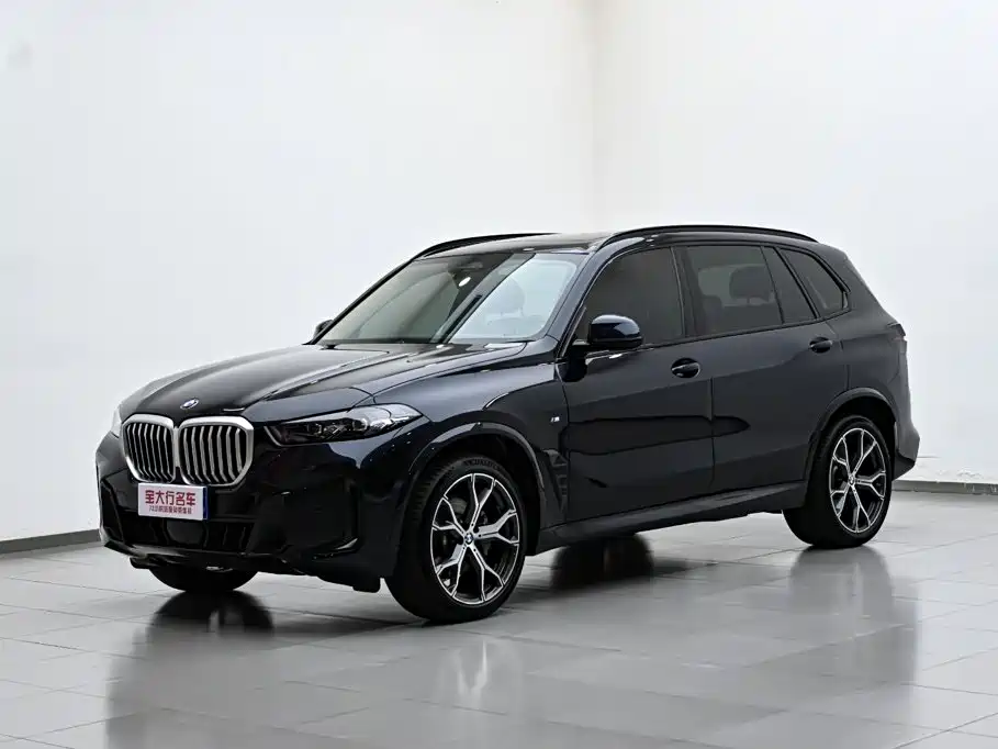 BMW X5 — миниатюра 2