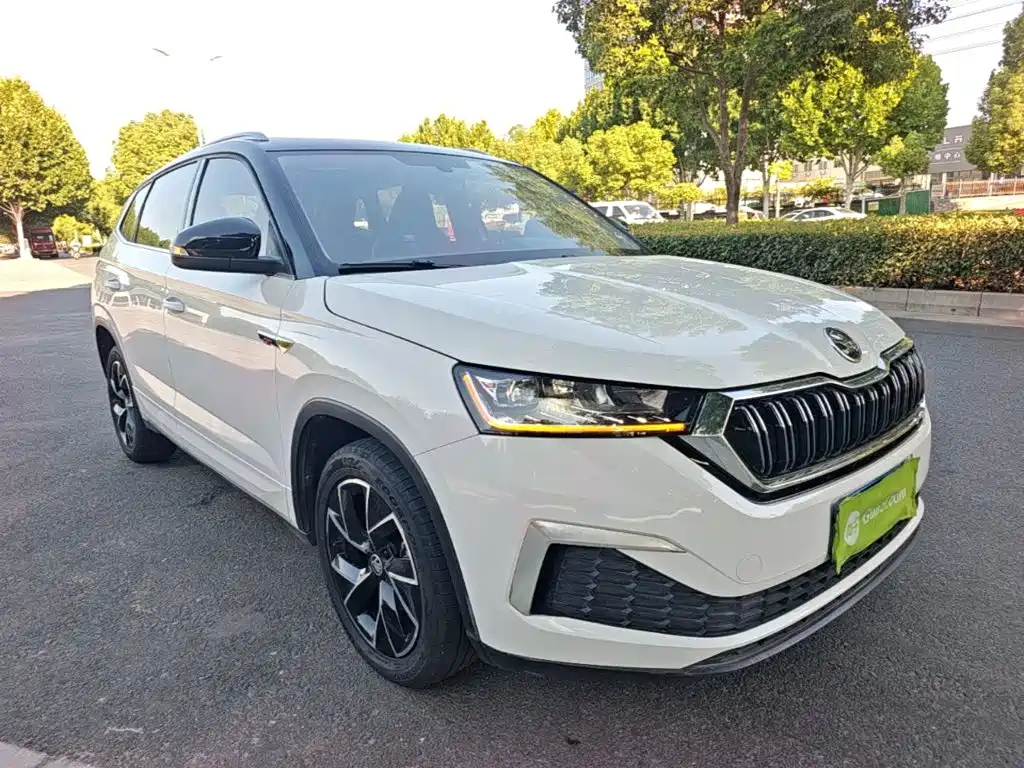 Skoda Kamiq — миниатюра 4