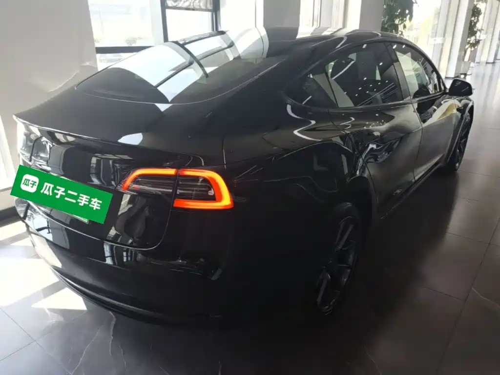 Tesla Model 3 — миниатюра 7
