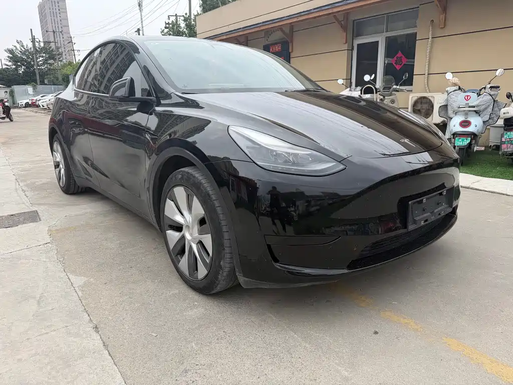 Tesla Model Y — миниатюра 4