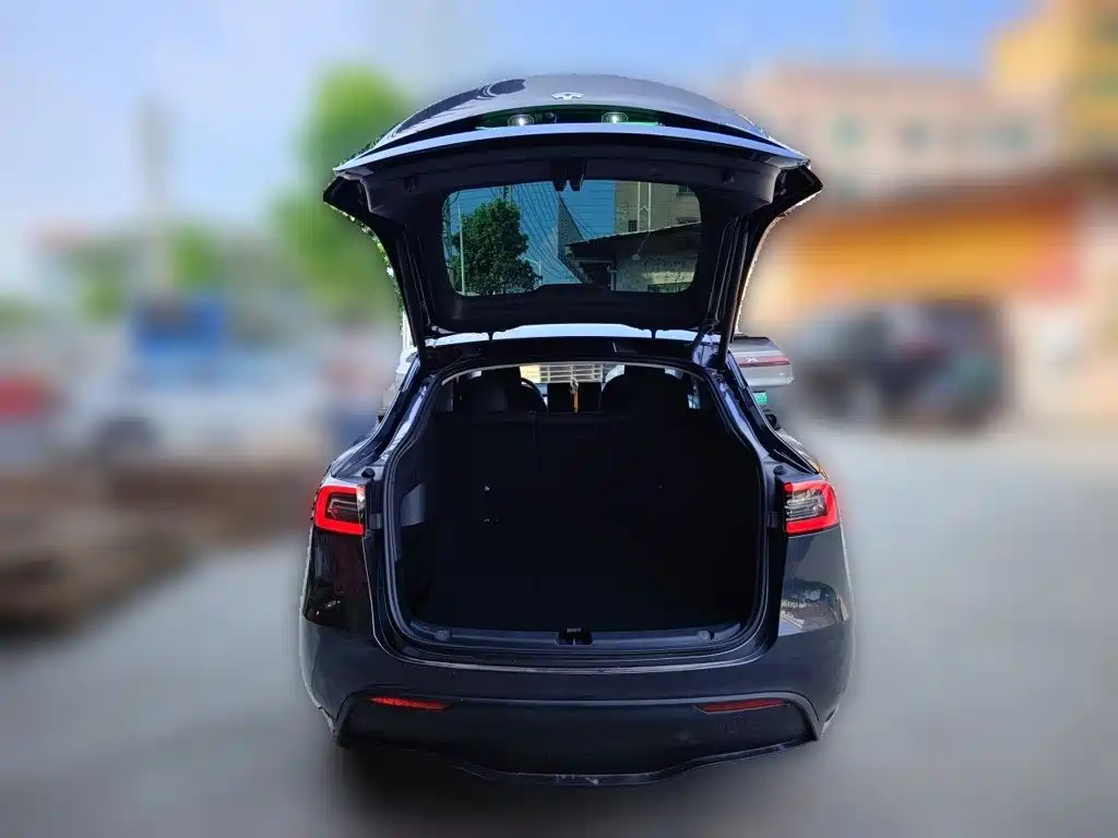 Tesla Model Y — миниатюра 10