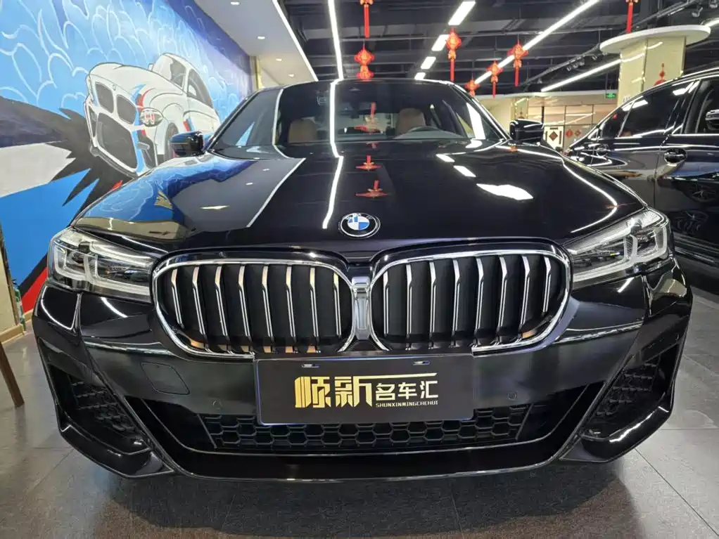 BMW 5 Series (Import) — миниатюра 2