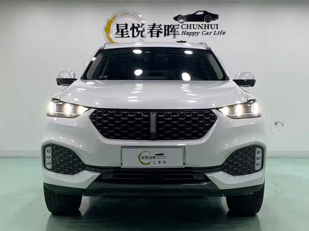 Wey Wey VV6 — миниатюра 2