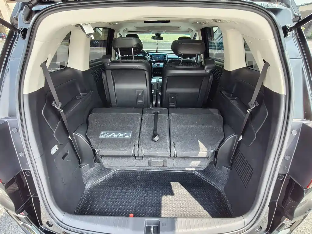 Honda Elysion — миниатюра 11