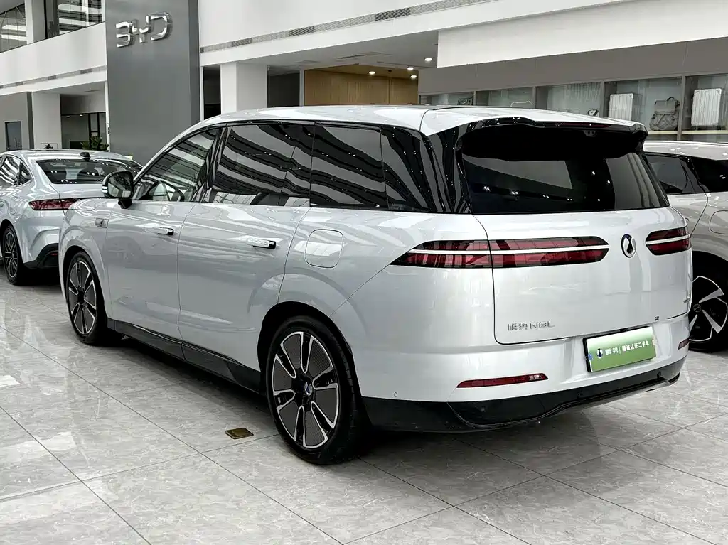 Denza Denza N8L — миниатюра 10