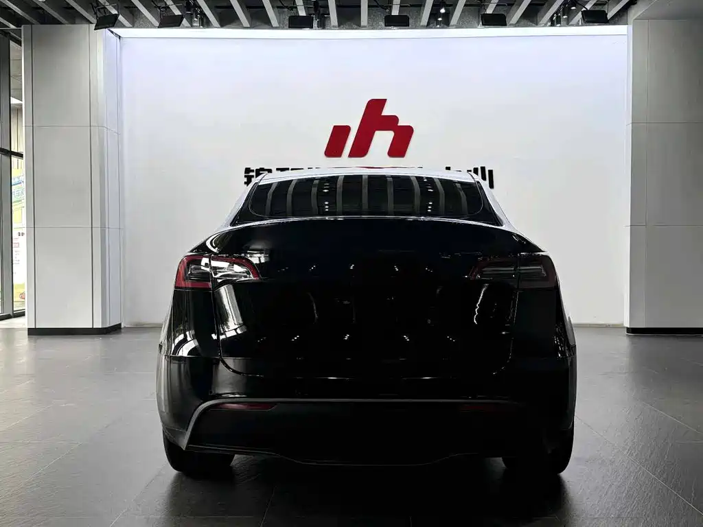 Tesla Model Y — миниатюра 8