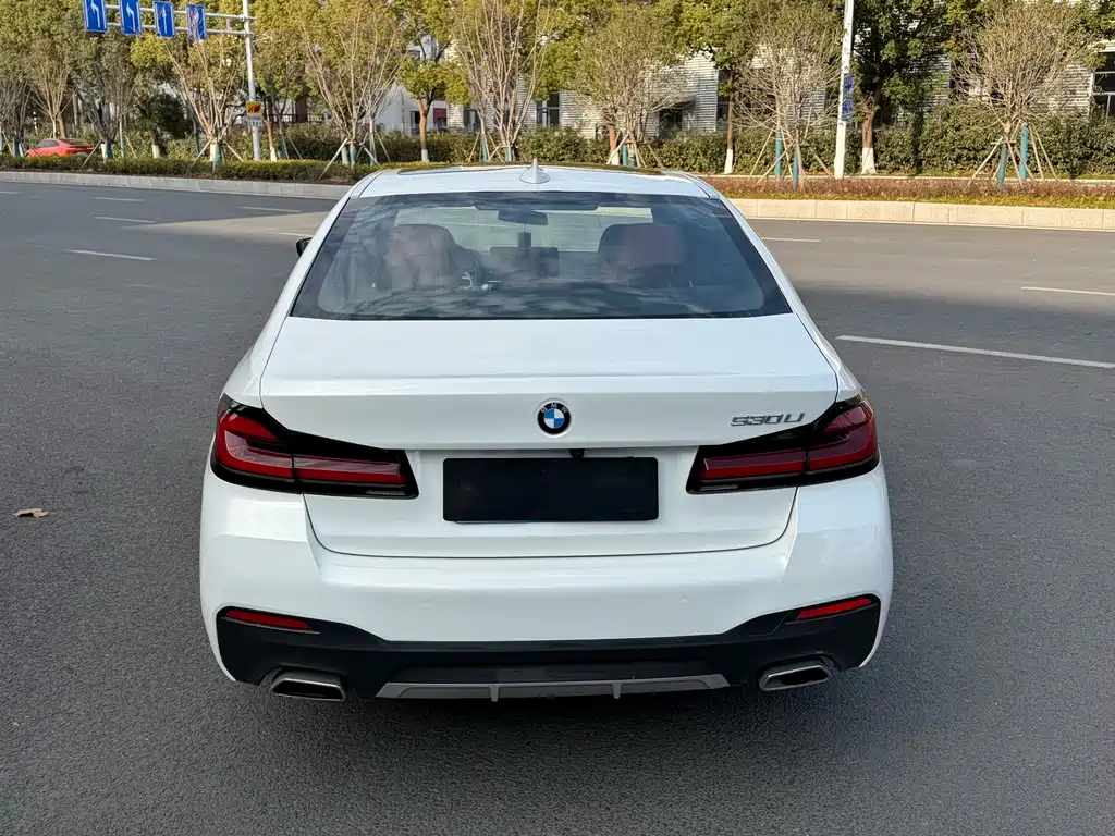 BMW 5 SERIES