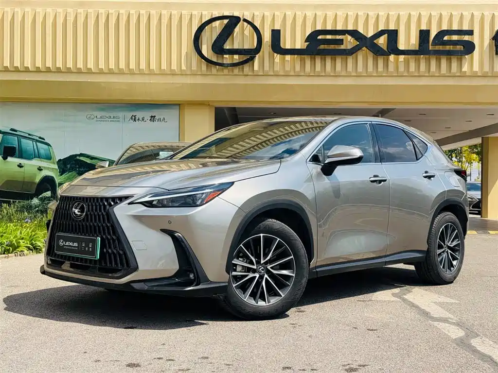 Lexus NX New Energy 2021