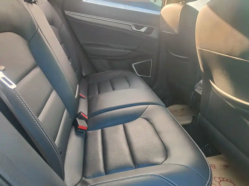 Geely Emgrand GS — миниатюра 10