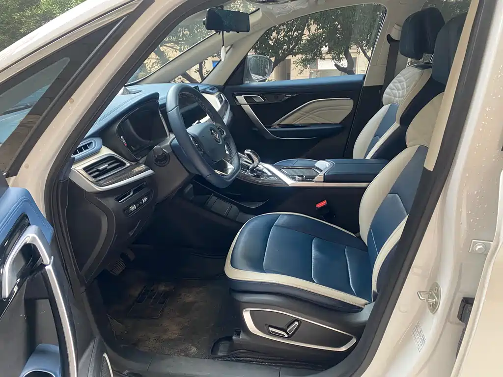 RUILAN AUTOMOBILE MAPLE LEAF 80V PRO