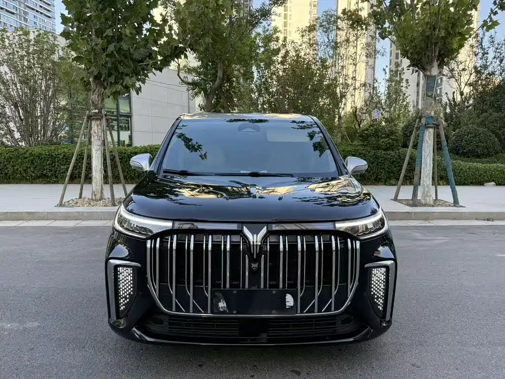 VOYAH Dreamer — миниатюра 3