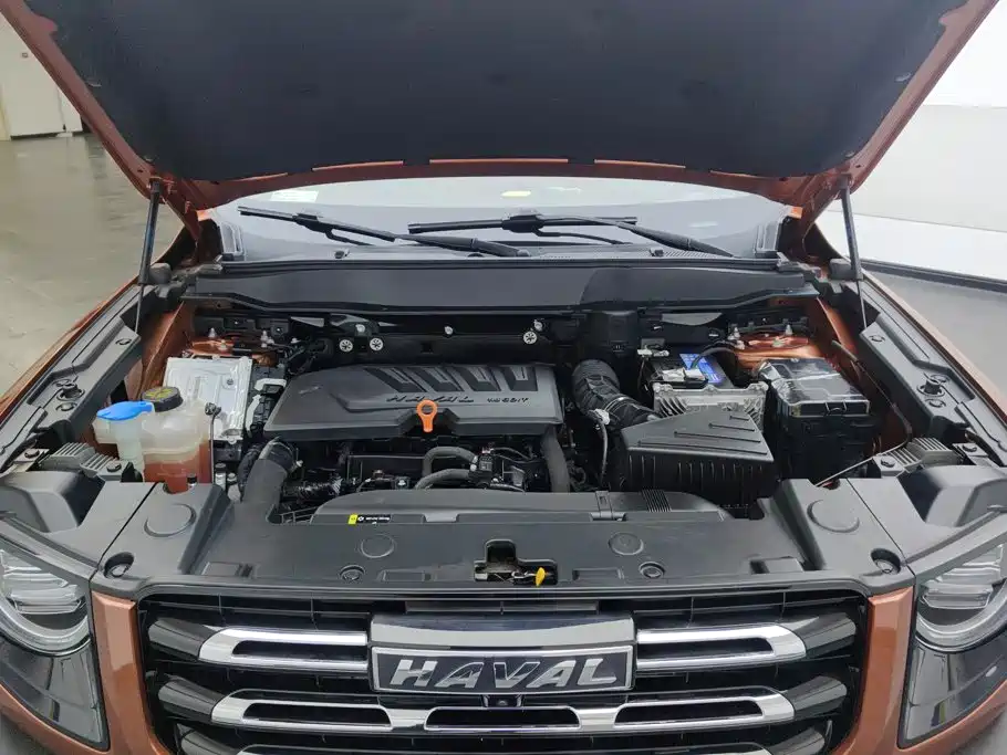 Haval Big Dog — миниатюра 9