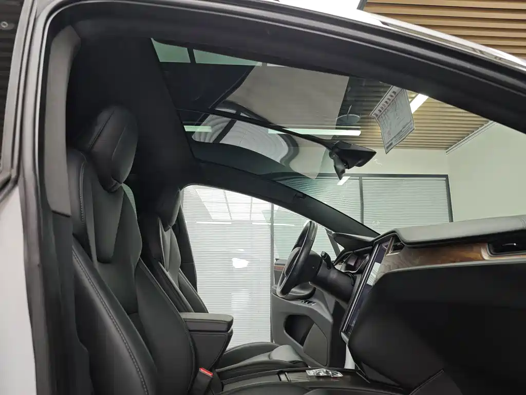 Tesla Model X — миниатюра 57