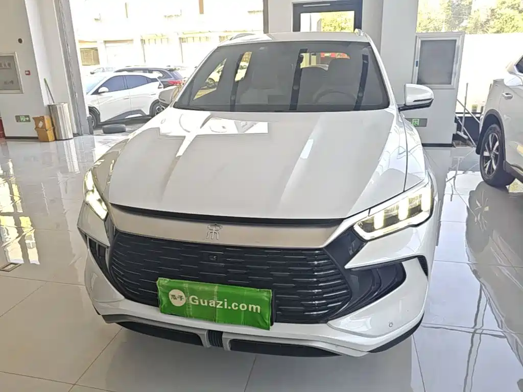 BYD Pro New Energy — миниатюра 3