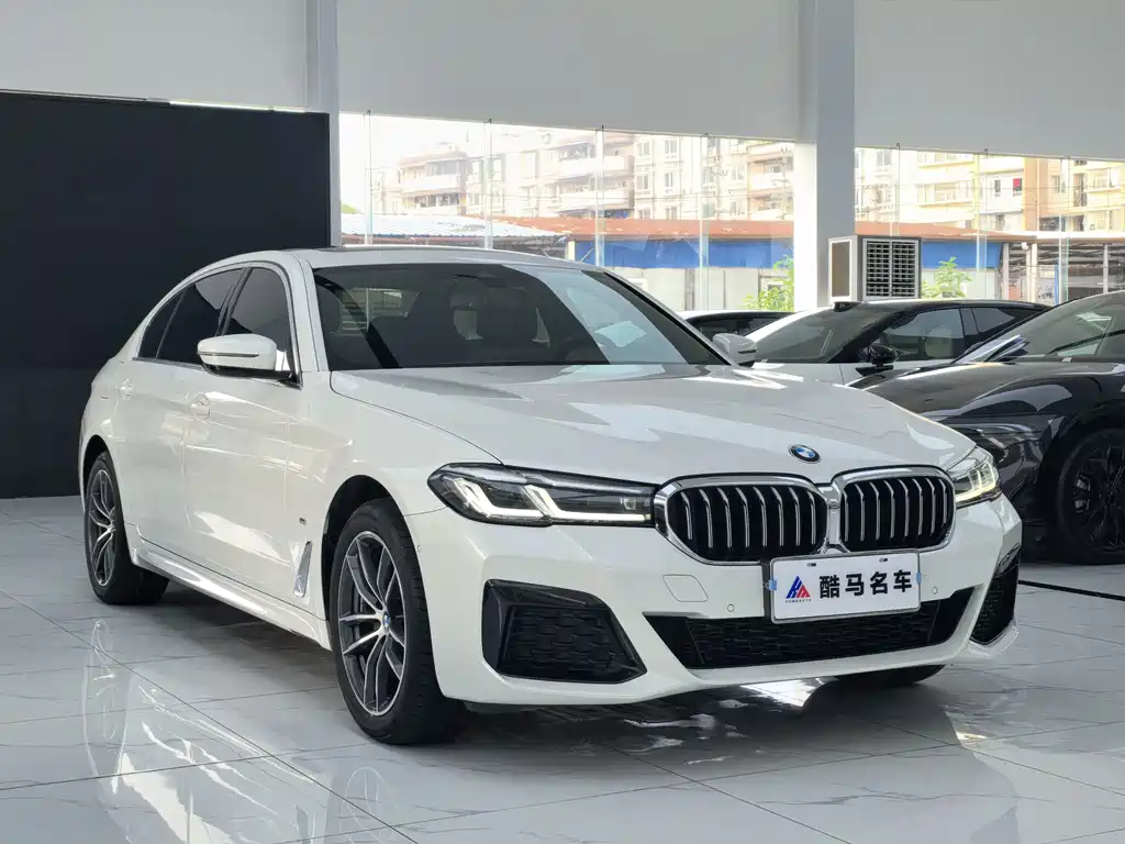 BMW 5 Series — миниатюра 3