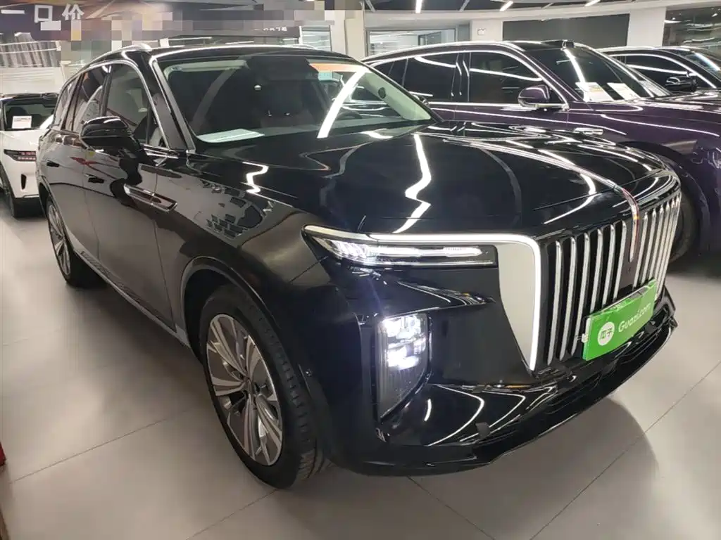 Hongqi E-HS9 2022 690km мест