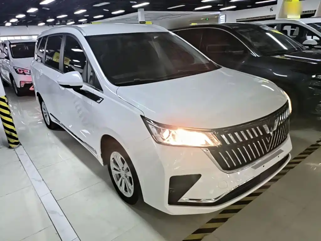 Wuling Jiachen — миниатюра 4