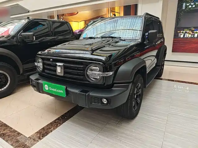 2024 TANK 300