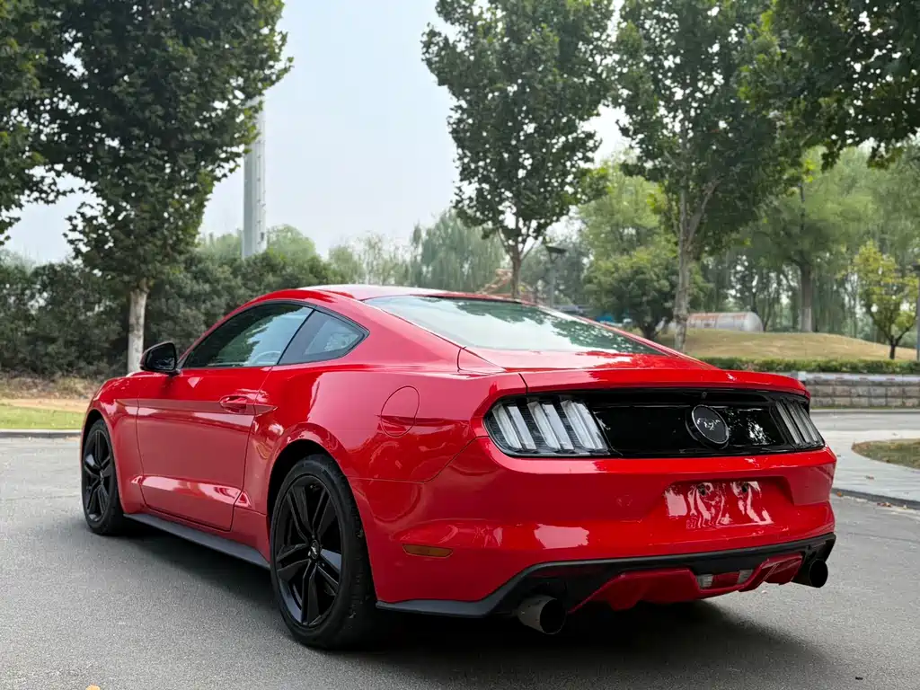 Ford Mustang — миниатюра 7