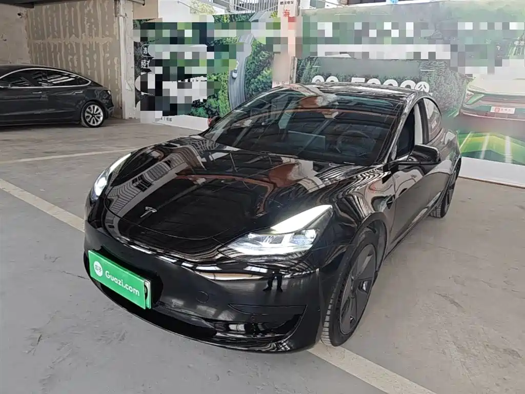 Tesla Model 3 2021