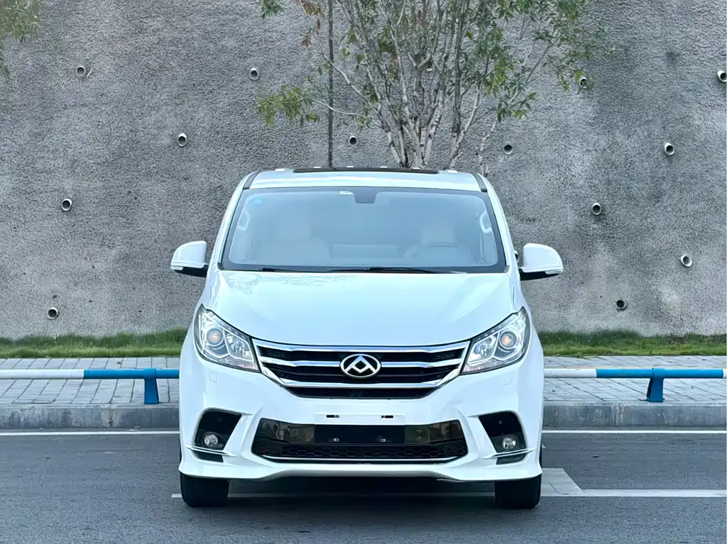 Maxus G10 — миниатюра 2