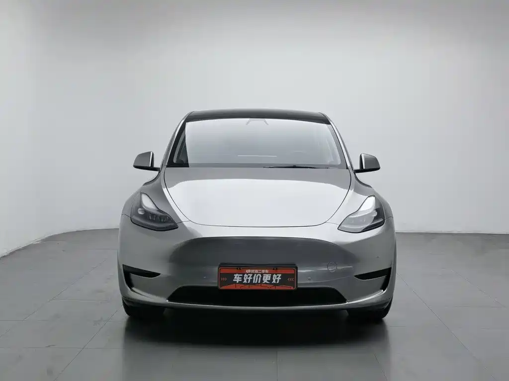 Tesla Model Y — миниатюра 3