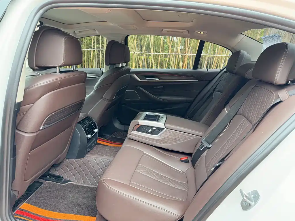 BMW 5 Series 5 2022 530Li Premium Luxury