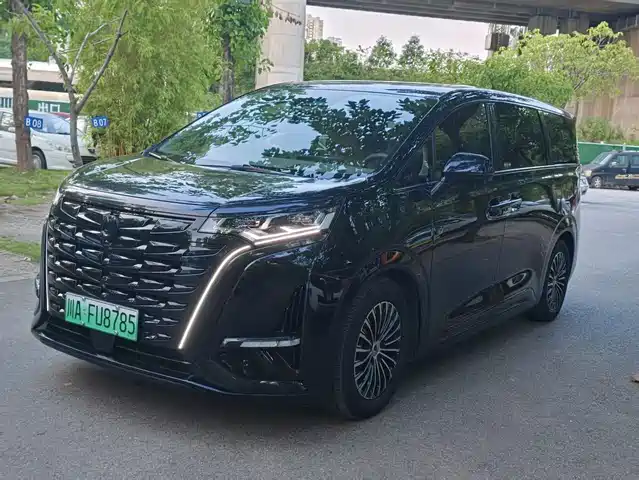 2024 Denza D9