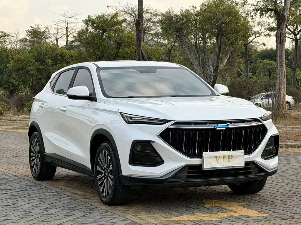 CHANGAN CHANGAN AUCHAN X5