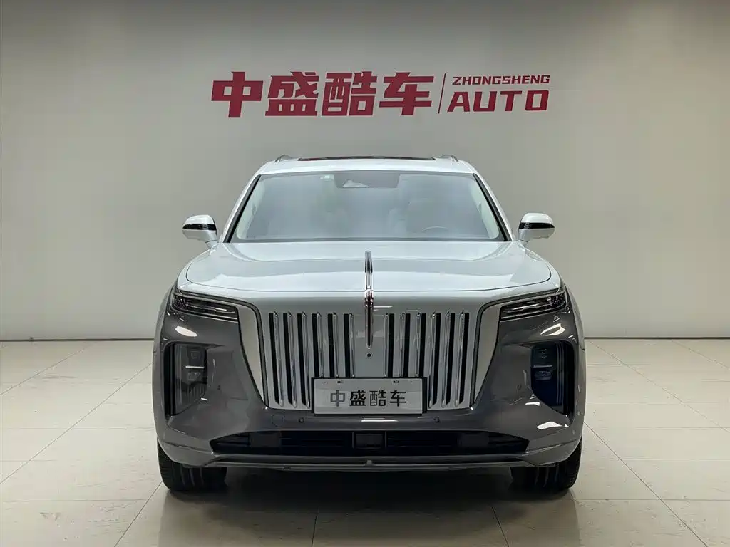 Hongqi E-HS9 2021 510km мест