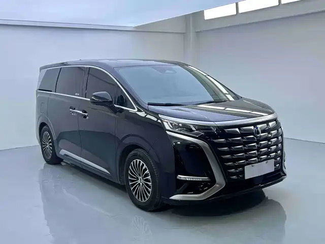2023 Denza D9