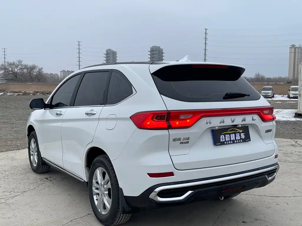 HAVAL M6
