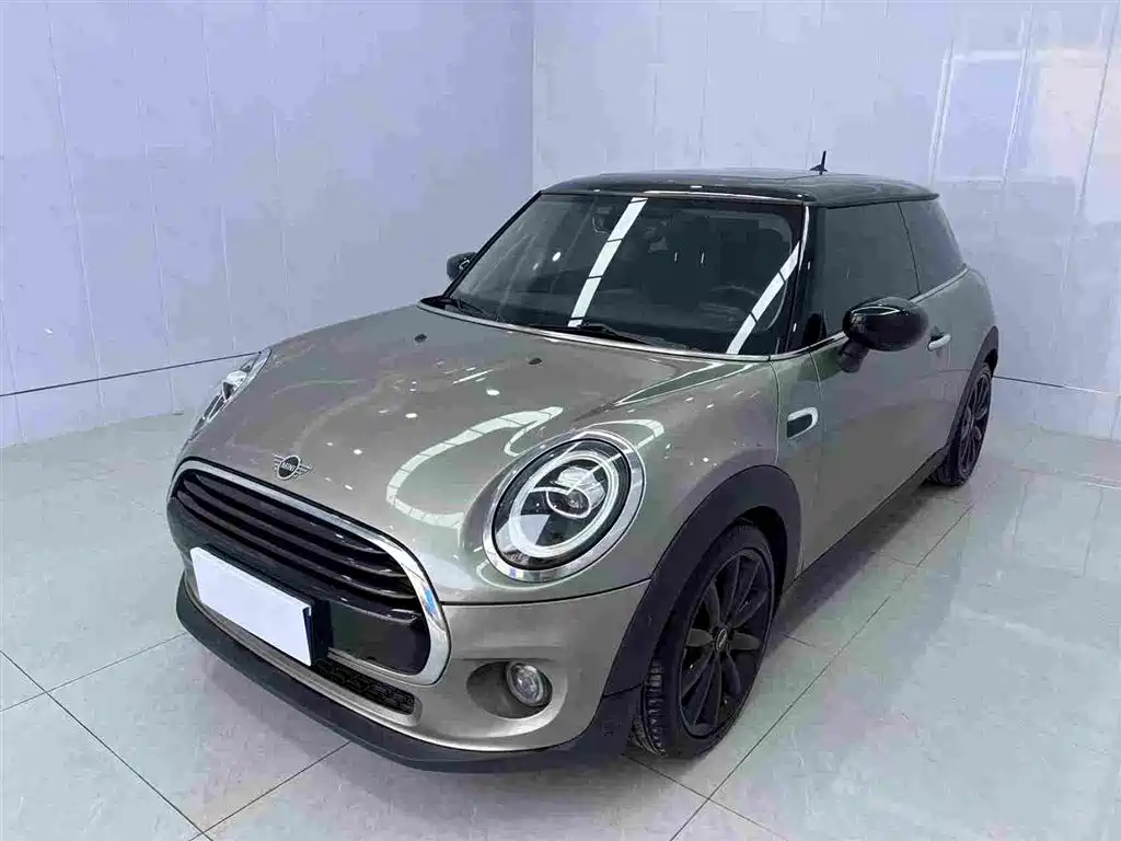 Mini Mini 2021