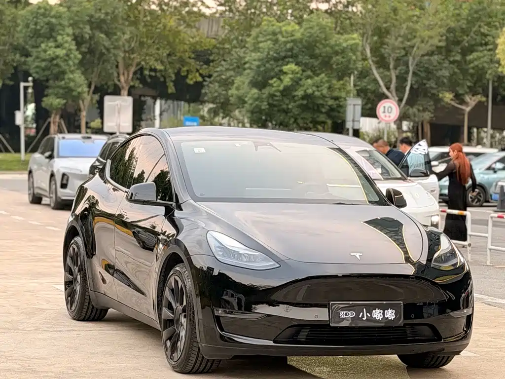 Tesla Model Y — миниатюра 3